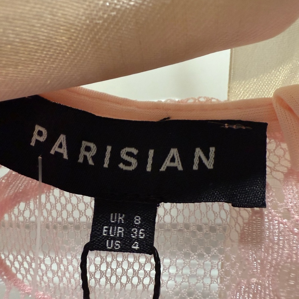 Parisian Works Blush Lace Bodysuit - Picture 3 of 8